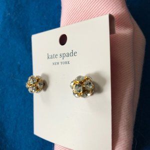 Kate Spade Earrings w/ Dust Bag